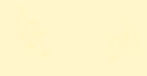 DJWine paper yellow01.jpg