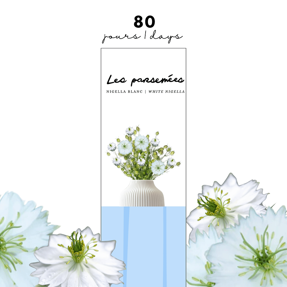 nigelle blanche