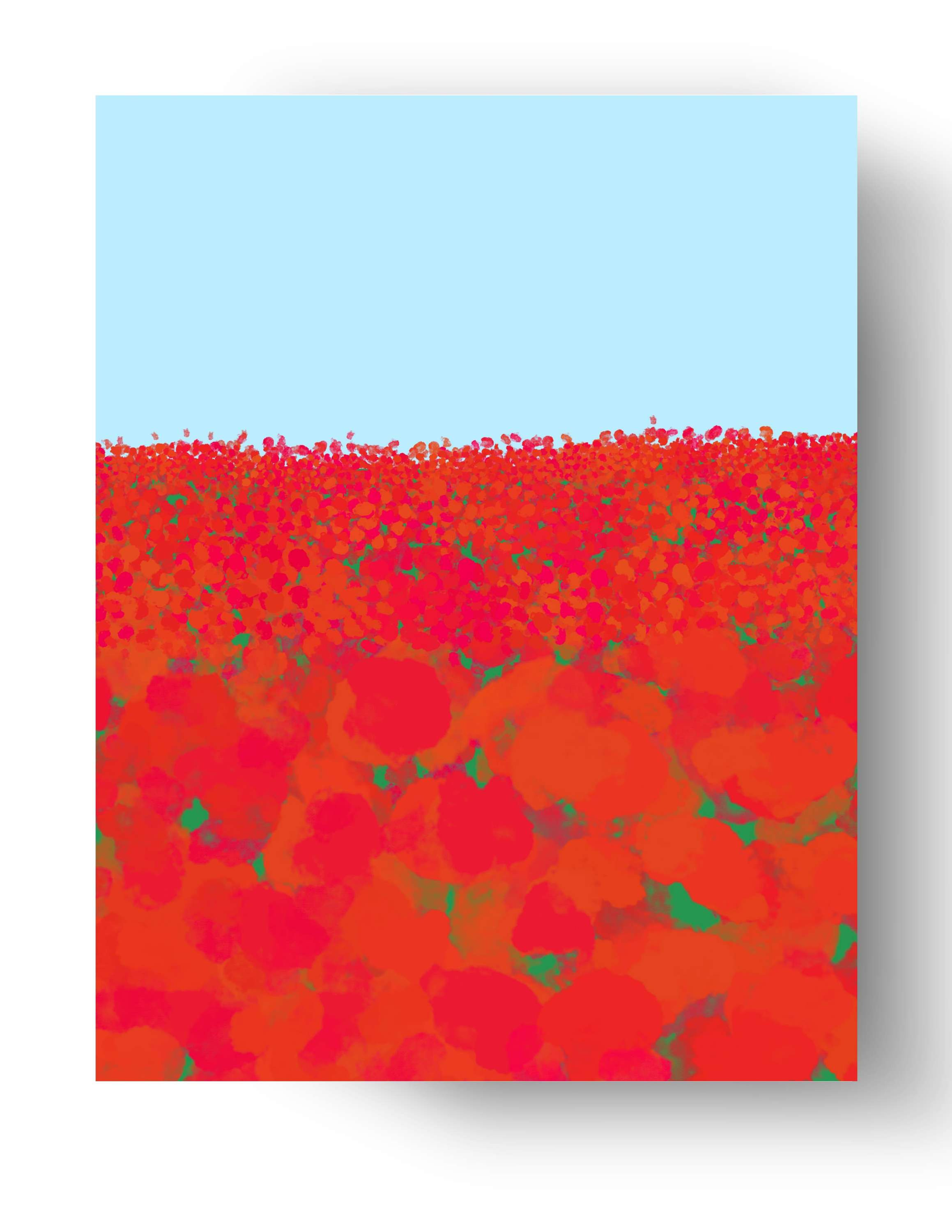 Carte champ de fleurs rouges