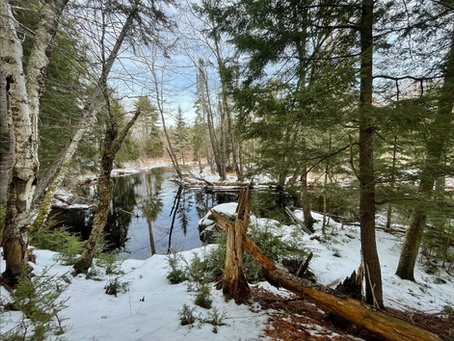 Ripples: February 2026