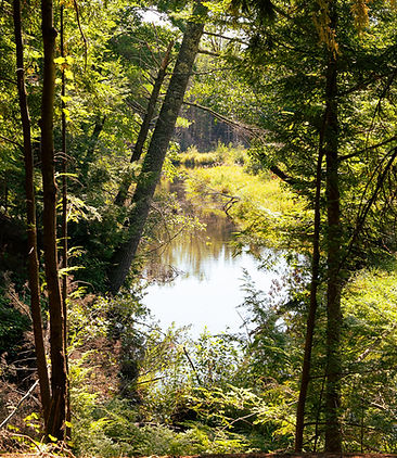 GeorgesRiver-15.jpg