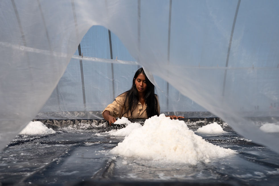 Wild Foraging Series: Mushrooms, Acorns & Sea Salt with Usha Beaudoin