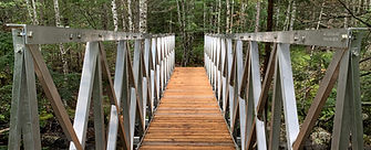 image_67208961 (1).JPG