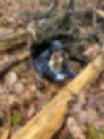 Creative Nature Club: Dormancy Dreams