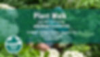 Plant Walk & Wild Food Tasting with GIANTDAUGHTER