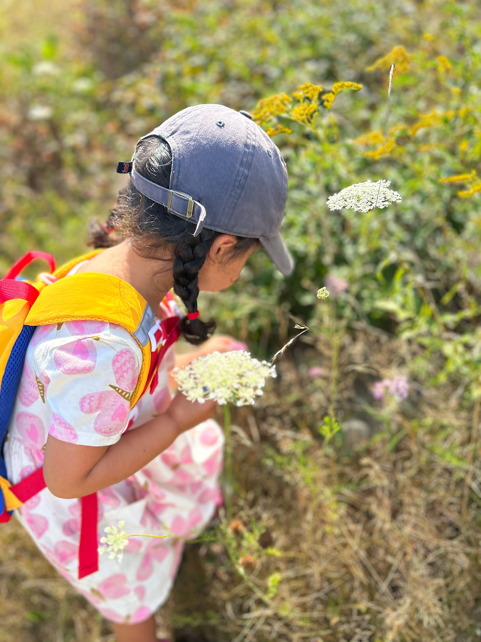 Creative Nature Club Summer Camp: Meant to Bee! Bugs and their botanical besties