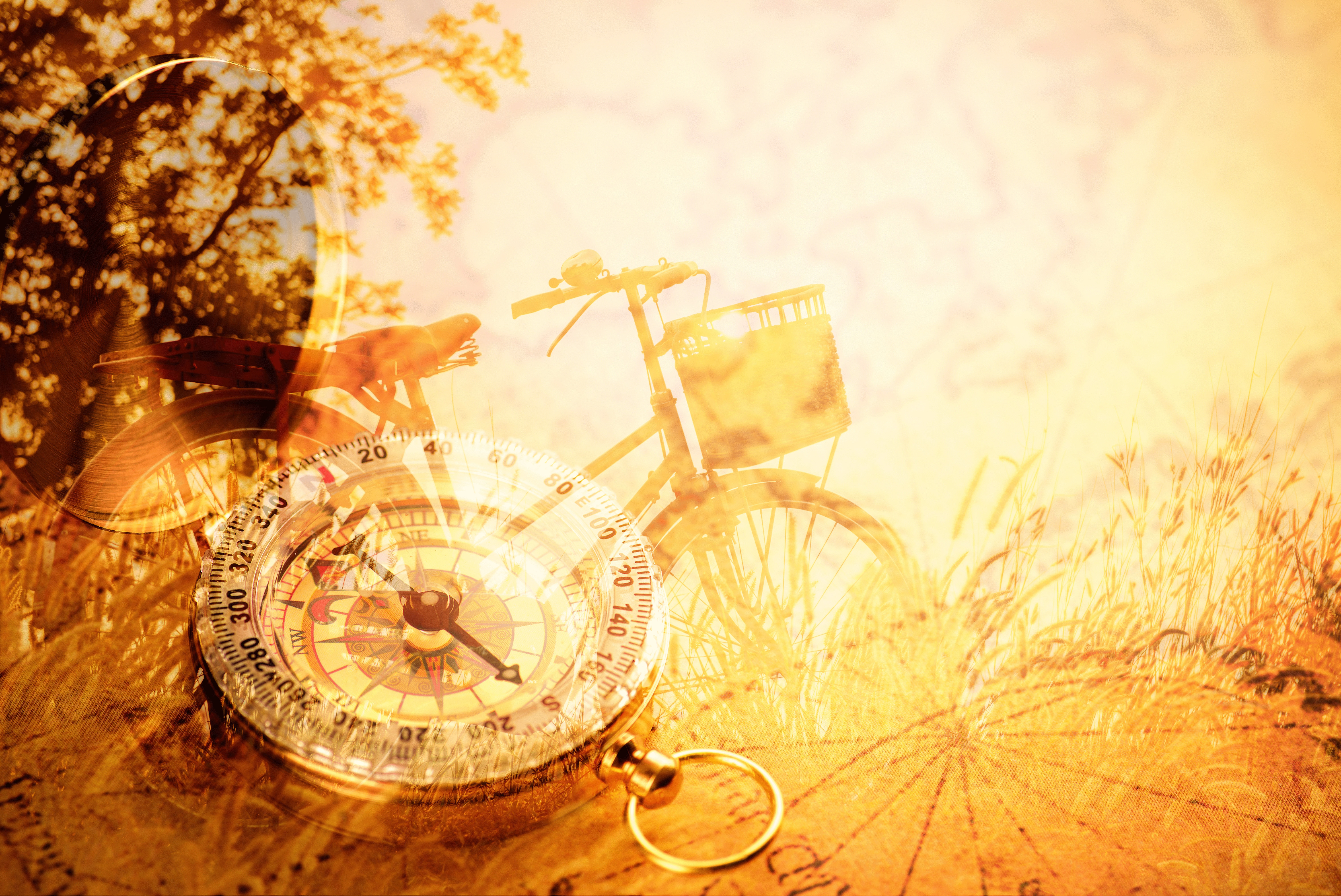 50008144_l.gif