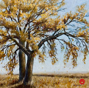 fall cottonwood tree