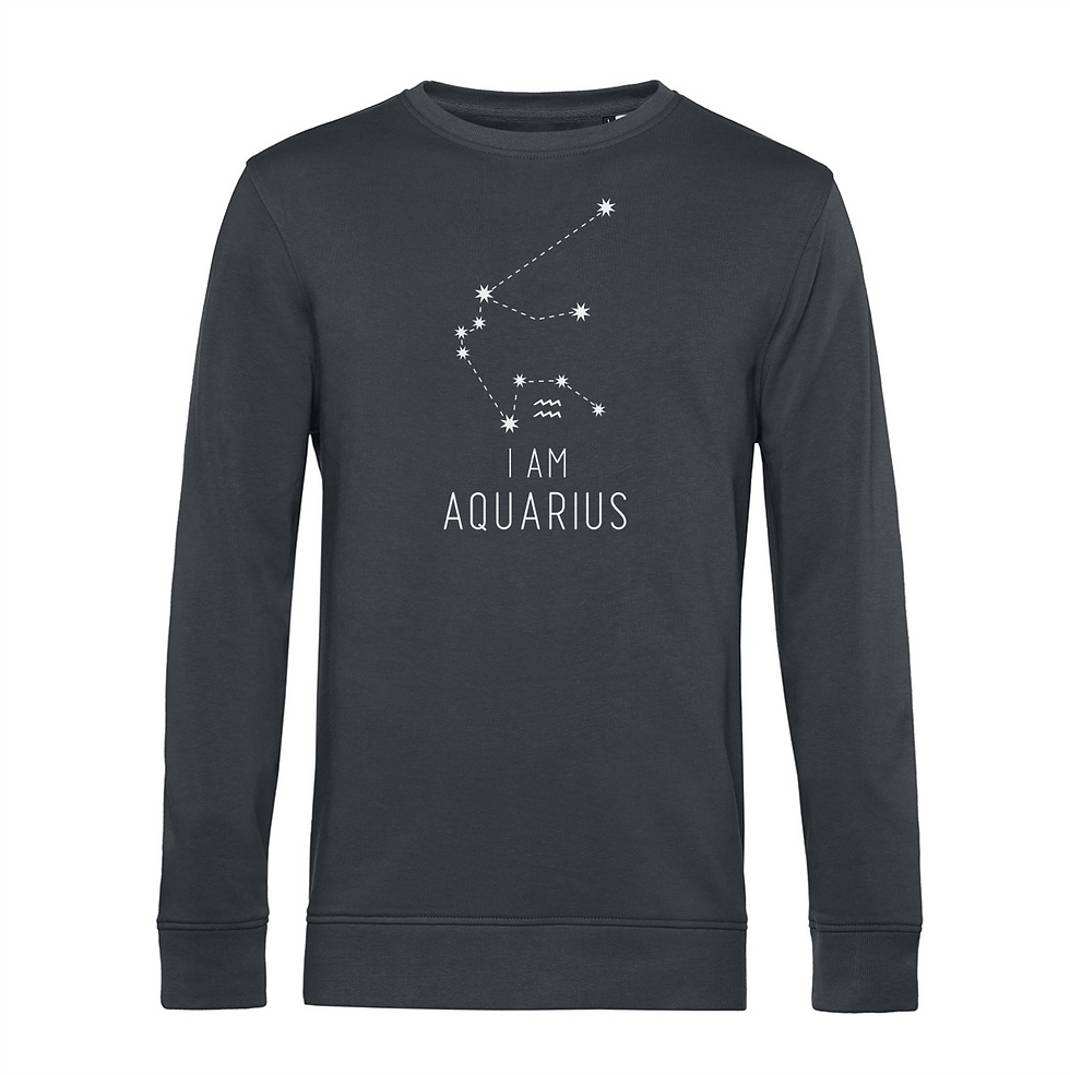 Miniatura: CONSTELAÇÃO AQUÁRIO