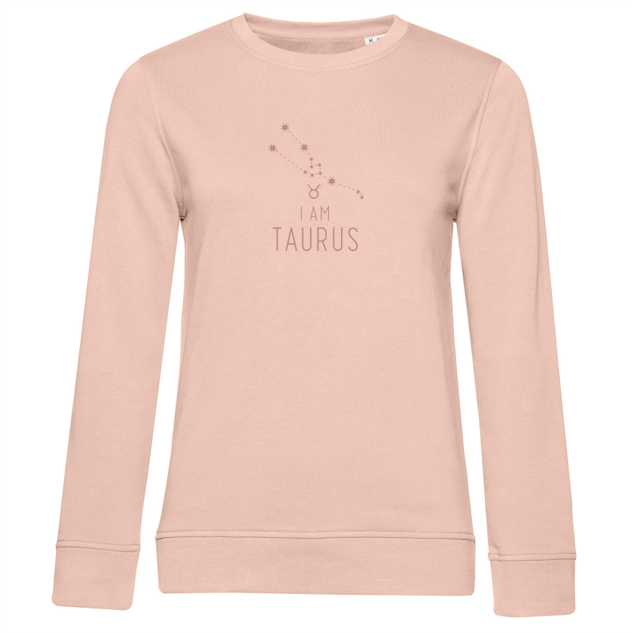 Miniatura: CONSTELAÇÃO TOURO