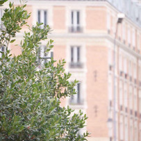 neuilly8.jpeg