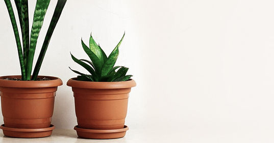 sub-banner-1.jpg