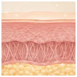 enyu-clinic-sculptra-step-05-gradual-result.webp