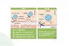 enyu-clinic-dysport-banner-03-product.webp