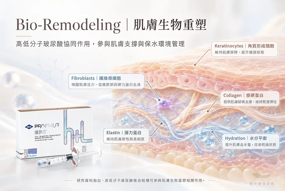 恩羽醫美 PROFHILO 逆時針 Bio-Remodeling 肌膚生物重塑與細胞外基質示意