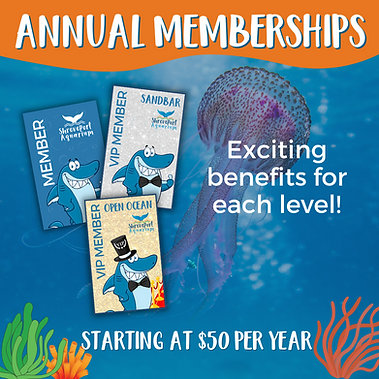 Memberships   (22 × 28 in) (1080 × 1080 px) (6).png