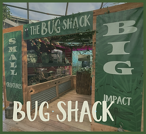 Feedings & Experiences 1080 x 987 (17).png