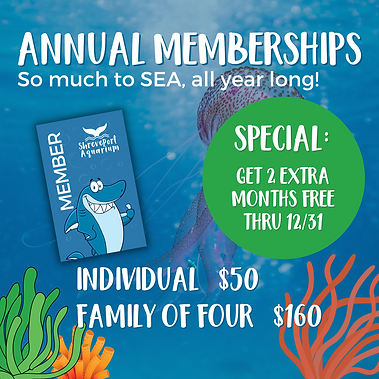 Memberships (22 × 28 in) (1080 × 1080 px) (1920 × 1080 px) (1080 × 1080 px) (3).png