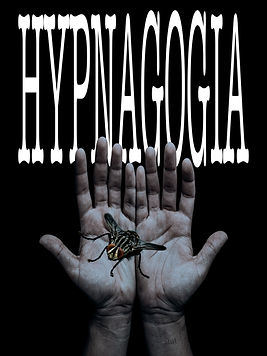 Armida Warrior | BookWorm | Poetry | Hypnagogia | Hypnagogia | Poetry Collection