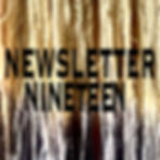 Armida Warrior | SubStack | Newsletter Nineteen