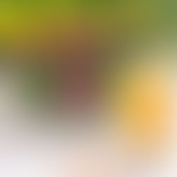 Armida Warrior | Kitchen | Cocktail Hour | The Forgot The Dog | Cocktail Recipe