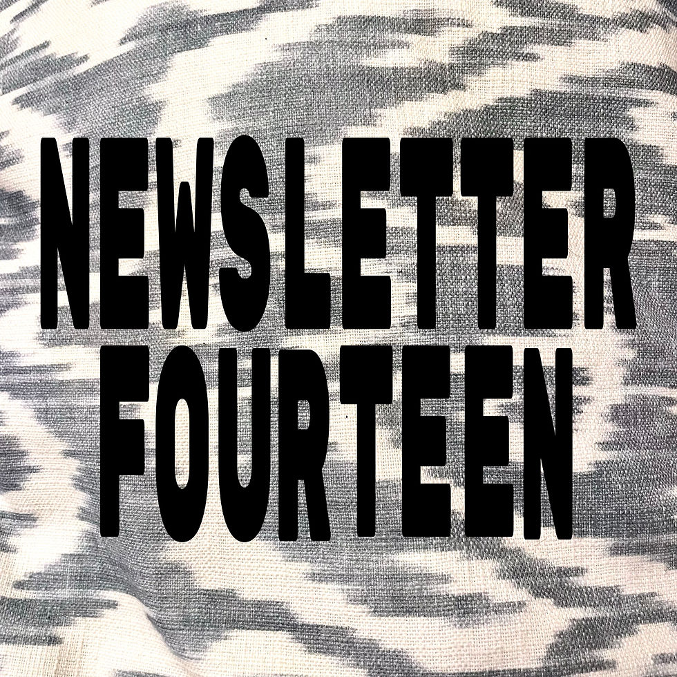 Armida Warrior | SubStack | Newsletter Fourteen | News