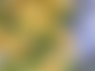 Armida Warrior | Kitchen | On The Menu | Scallion & Egg Scramble | Recipe