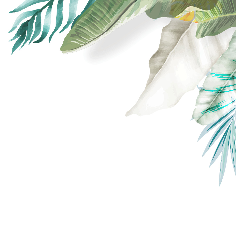 Top Leaf.png