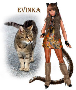 Evinka
