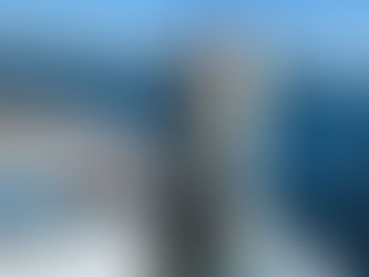 2022年1月16日 鰤