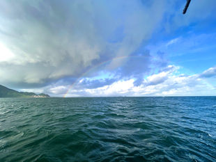 2025年7月19日 🌈大鯛と鯵