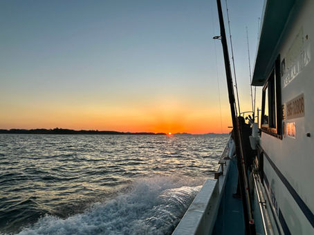 2025年11月30日 青物どこ?