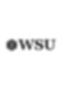 WSU Wiesbaden.jpg