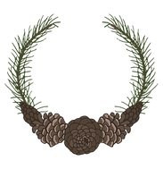 Pinecone Wreath Illustration