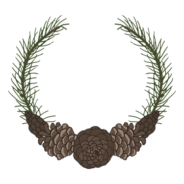 Pine Spruce Branches 2