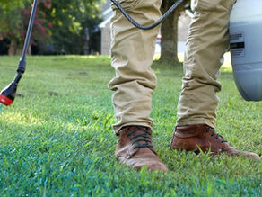 Dangers of Herbicide + Natural Alternatives