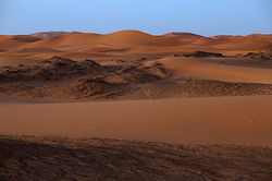 Sahara