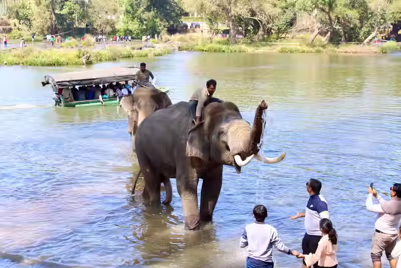 dubare elephant camp 3.avif
