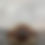 Thumbnail: ZenWrockz Artisticly Wrapped Rock