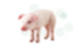 banner-01_edited.jpg
