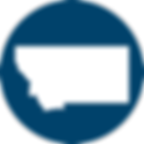 MT State Outline - Blue (1).png