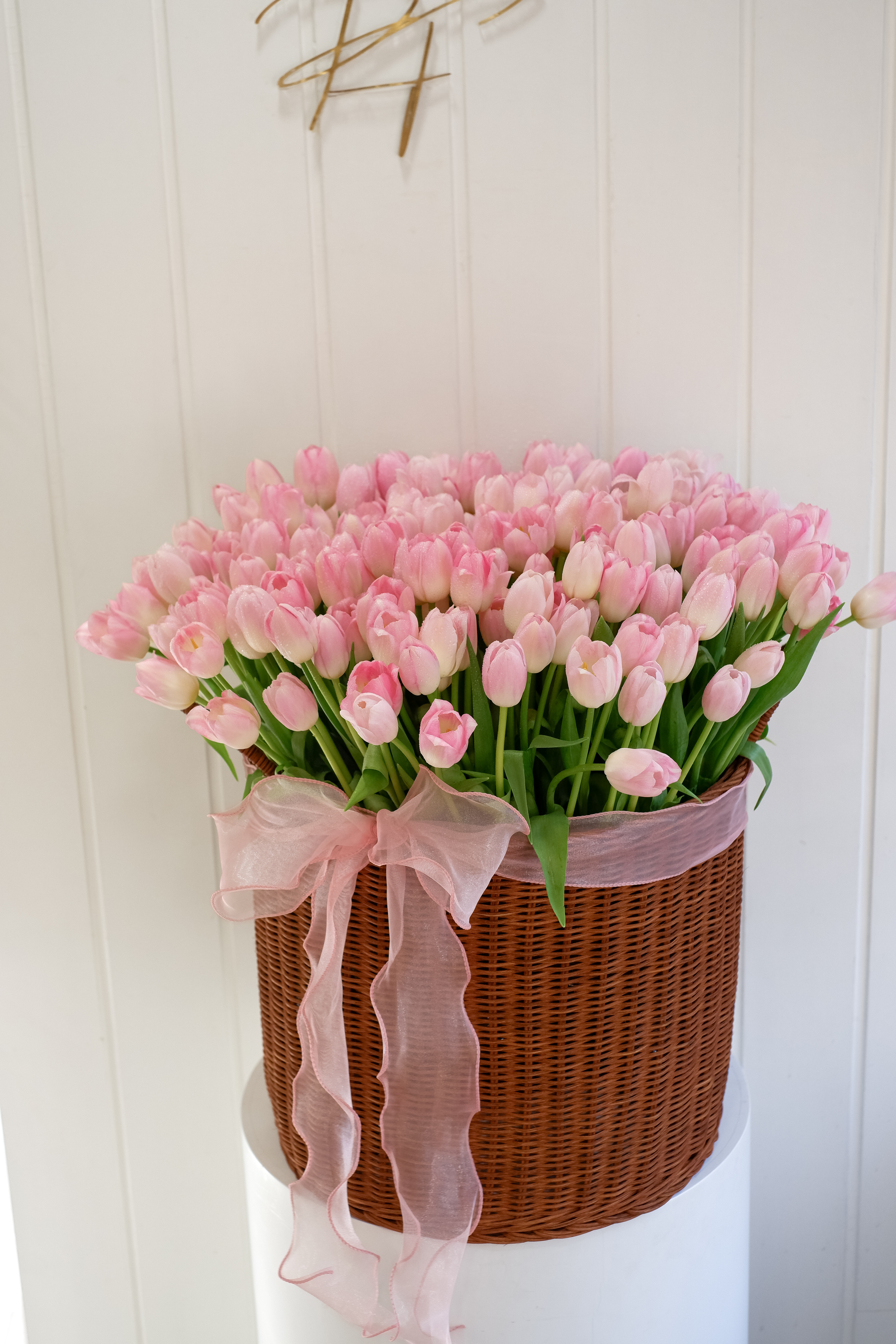 TulipsV25