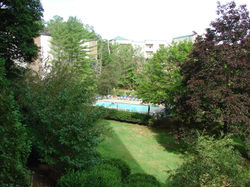 View in summer