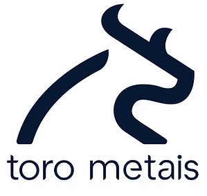 logo toro metais 2024.png