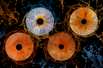 Photographe iris Lyon