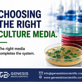 Choosing the Right Culture Media: The Right Media Completes the System
