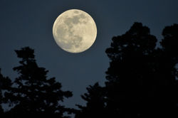 2019_02_18_lune