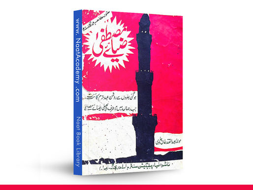 Ziya E Mustafa