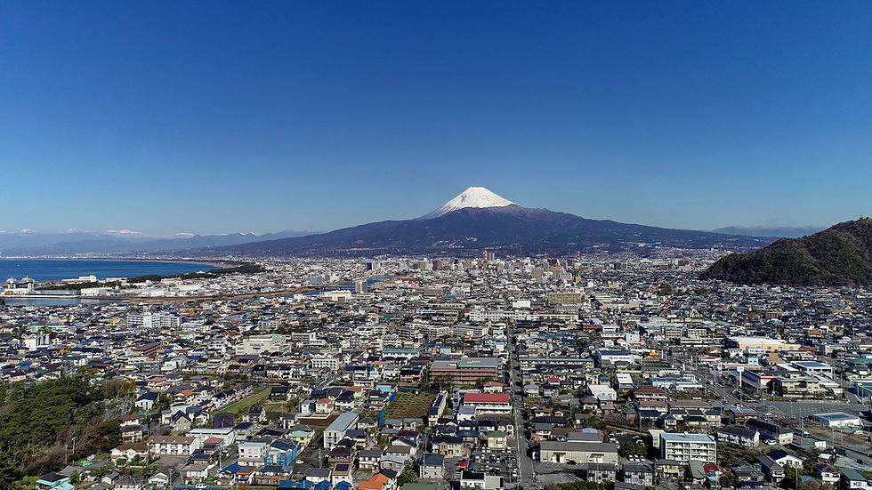 aerial010_w.jpg