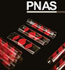 33. PNAS article.jpg